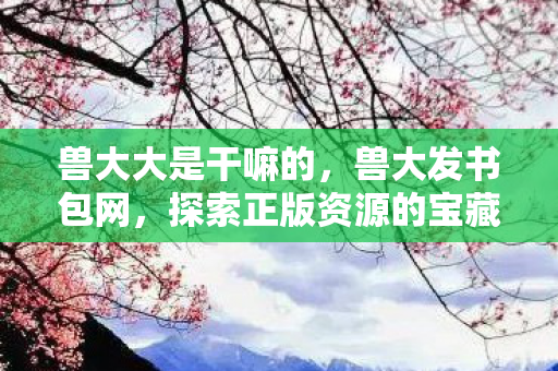兽大大是干嘛的，兽大发书包网，探索正版资源的宝藏