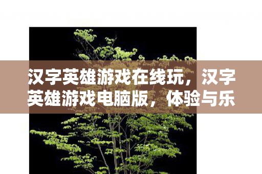 汉字英雄游戏在线玩，汉字英雄游戏电脑版，体验与乐趣的完美结合