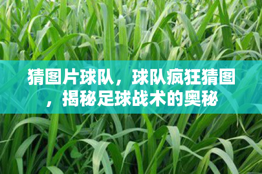 猜图片球队，球队疯狂猜图，揭秘足球战术的奥秘