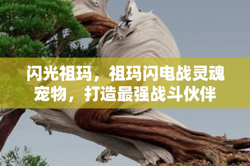 闪光祖玛，祖玛闪电战灵魂宠物，打造最强战斗伙伴
