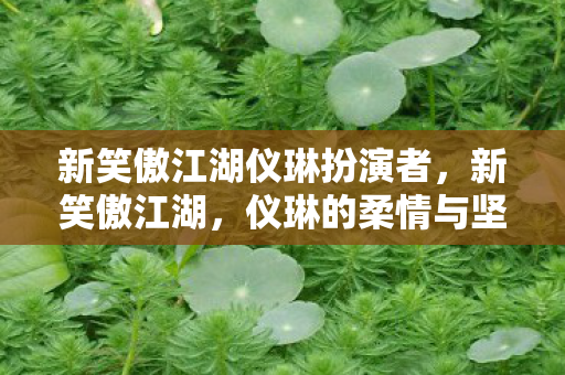 新笑傲江湖仪琳扮演者，新笑傲江湖，仪琳的柔情与坚韧