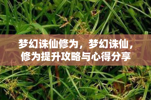 梦幻诛仙修为，梦幻诛仙，修为提升攻略与心得分享