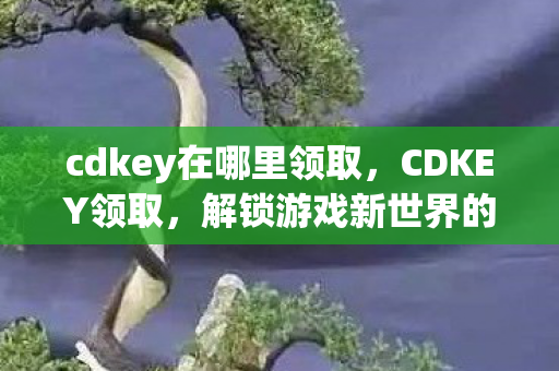 cdkey在哪里领取，CDKEY领取，解锁游戏新世界的钥匙
