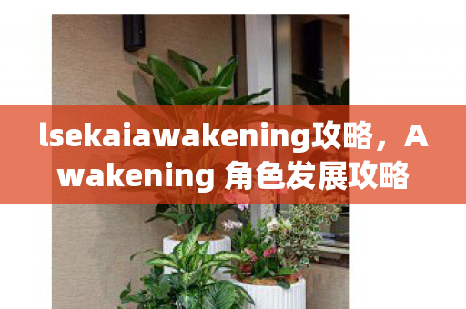 lsekaiawakening攻略，Awakening 角色发展攻略，打造顶尖战力