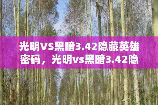 光明VS黑暗3.42隐藏英雄密码，光明vs黑暗3.42隐藏英雄，探索未知的力量