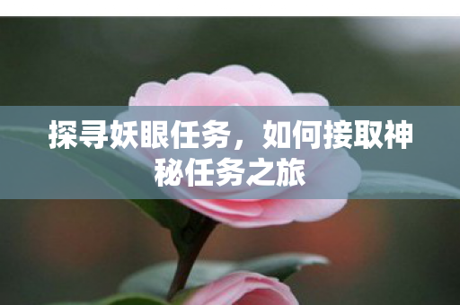 探寻妖眼任务,如何接取神秘任务之旅 探寻妖眼任务,如何接取神秘任务之旅