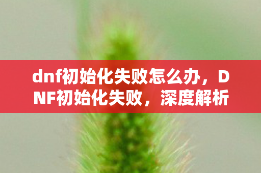 dnf初始化失败怎么办，DNF初始化失败，深度解析游戏登录难题与解决方案