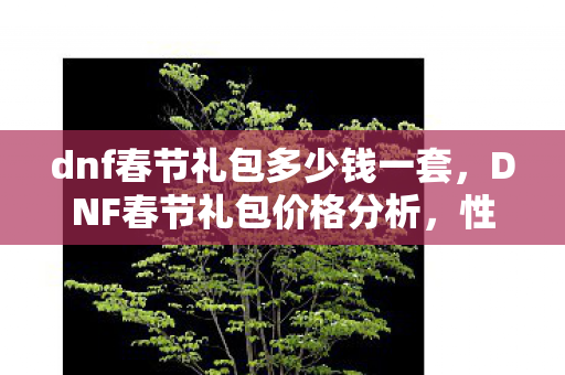 dnf春节礼包多少钱一套，DNF春节礼包价格分析，性价比与玩家期待的平衡点
