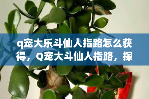 q宠大乐斗仙人指路怎么获得，Q宠大斗仙人指路，探索虚拟世界的无限可能