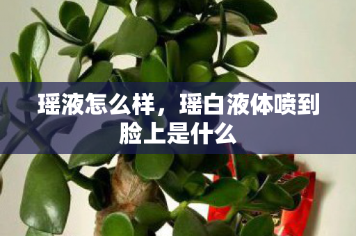 瑶液怎么样，瑶白液体喷到脸上是什么