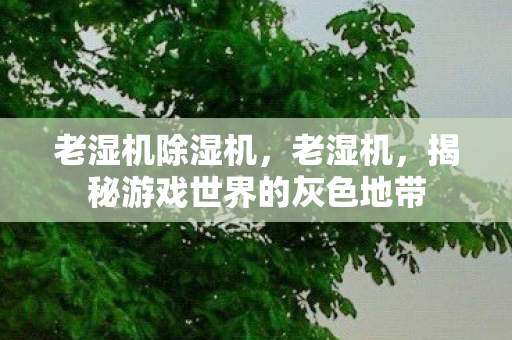 老湿机除湿机，老湿机，揭秘游戏世界的灰色地带