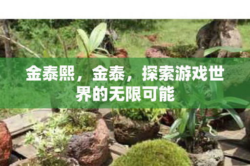 金泰熙，金泰，探索游戏世界的无限可能