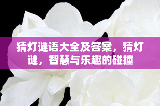 猜灯谜语大全及答案，猜灯谜，智慧与乐趣的碰撞
