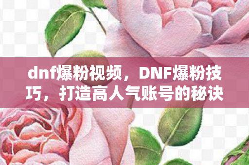 dnf爆粉视频，DNF爆粉技巧，打造高人气账号的秘诀