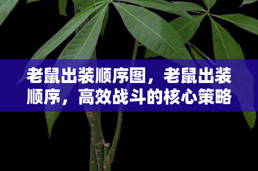 老鼠出装顺序图，老鼠出装顺序，高效战斗的核心策略