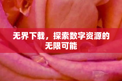 无界下载，探索数字资源的无限可能