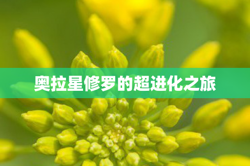 奥拉星修罗的超进化之旅