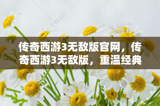 传奇西游3无敌版官网，传奇西游3无敌版，重温经典，畅享无限可能