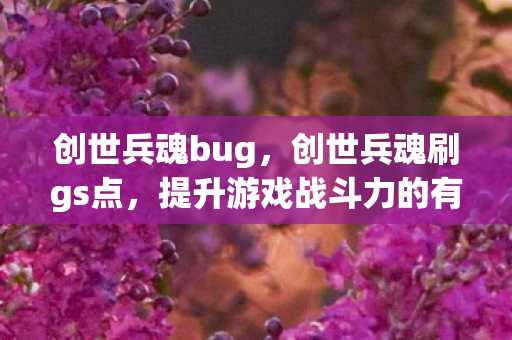 创世兵魂bug，创世兵魂刷gs点，提升游戏战斗力的有效策略