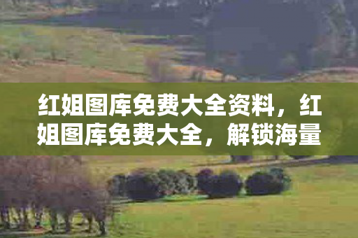 红姐图库免费大全资料，红姐图库免费大全，解锁海量高清图片资源