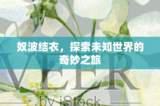奴波结衣，探索未知世界的奇妙之旅