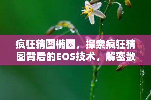 疯狂猜图椭圆，探索疯狂猜图背后的EOS技术，解密数字艺术的无限可能