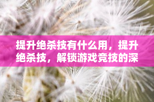 提升绝杀技有什么用，提升绝杀技，解锁游戏竞技的深层策略