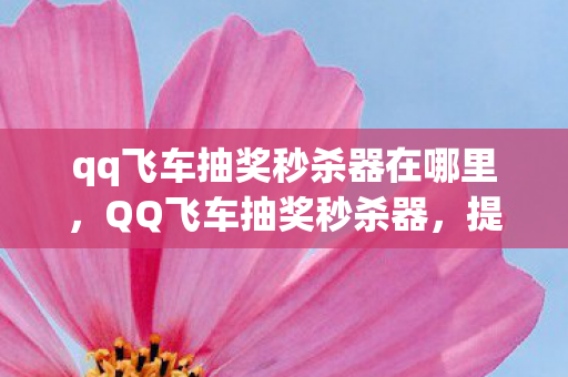 qq飞车抽奖秒杀器在哪里，QQ飞车抽奖秒杀器，提升游戏体验的利器