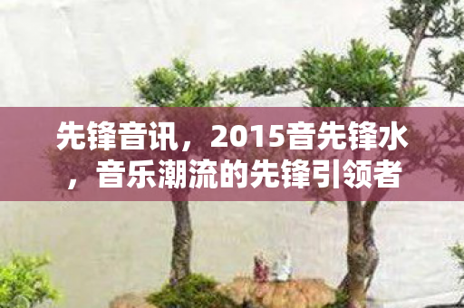 先锋音讯，2015音先锋水，音乐潮流的先锋引领者