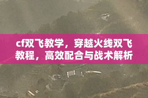cf双飞教学，穿越火线双飞教程，高效配合与战术解析