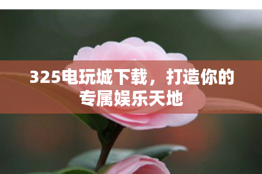 325电玩城下载，打造你的专属娱乐天地