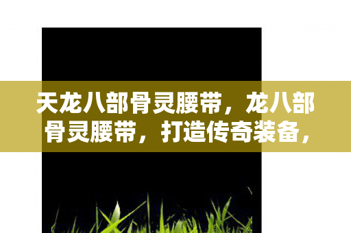 天龙八部骨灵腰带，龙八部骨灵腰带，打造传奇装备，提升角色实力