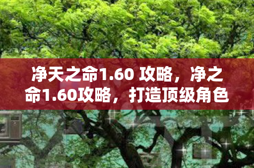 净天之命1.60 攻略，净之命1.60攻略，打造顶级角色的全面指南