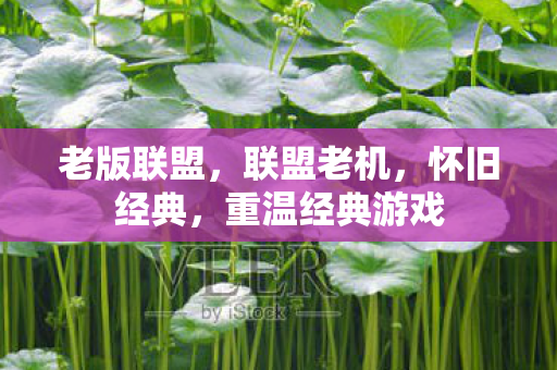 老版联盟，联盟老机，怀旧经典，重温经典游戏