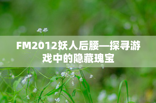FM2012妖人后腰—探寻游戏中的隐藏瑰宝 FM2012妖人后腰—探寻游戏中的隐藏瑰宝