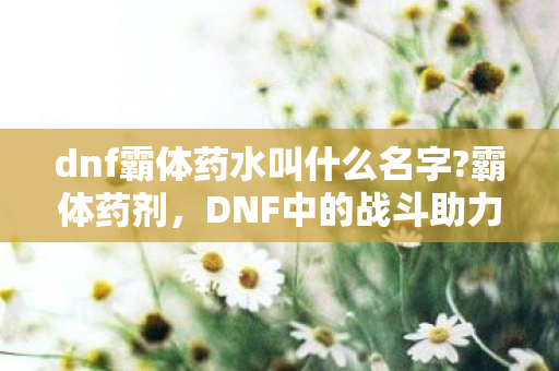 dnf霸体药水叫什么名字?霸体药剂，DNF中的战斗助力
