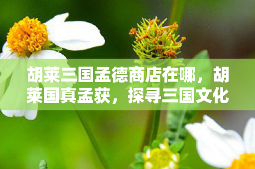 胡莱三国孟德商店在哪，胡莱国真孟获，探寻三国文化的深度与广度