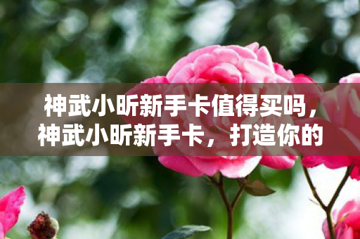 神武小昕新手卡值得买吗，神武小昕新手卡，打造你的专属游戏之旅