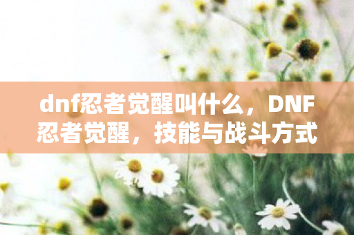 dnf忍者觉醒叫什么，DNF忍者觉醒，技能与战斗方式的革新