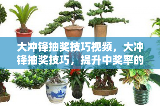 大冲锋抽奖技巧视频，大冲锋抽奖技巧，提升中奖率的实用策略