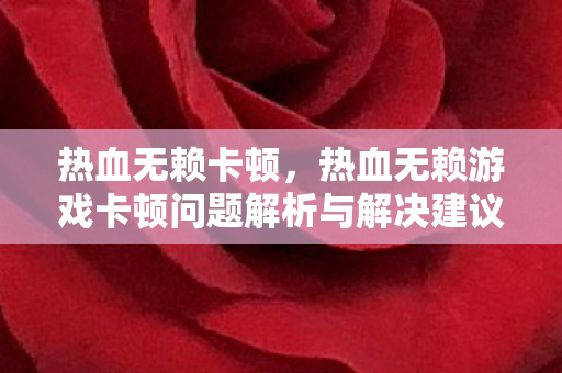 热血无赖卡顿，热血无赖游戏卡顿问题解析与解决建议