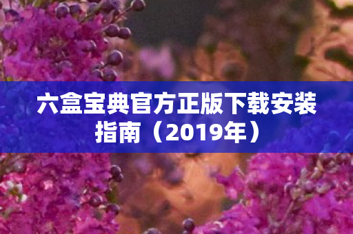 六盒宝典官方正版下载安装指南(2019年) 六盒宝典官方正版下载安装指南(2019年)