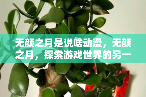 无颜之月是说啥动漫，无颜之月，探索游戏世界的另一面