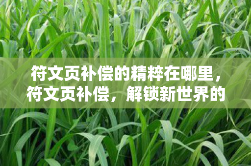 符文页补偿的精粹在哪里，符文页补偿，解锁新世界的钥匙