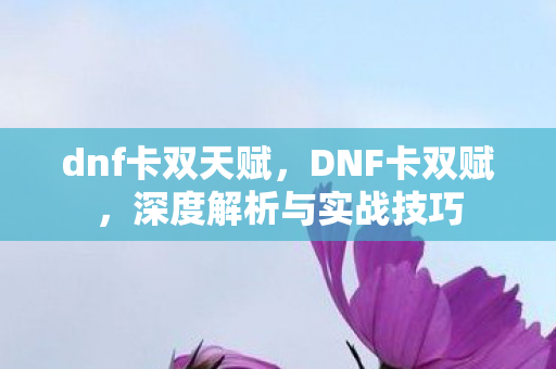 dnf卡双天赋，DNF卡双赋，深度解析与实战技巧