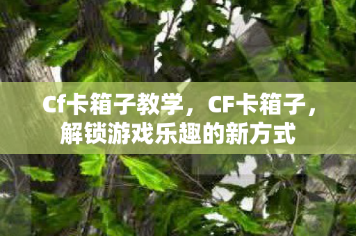 Cf卡箱子教学，CF卡箱子，解锁游戏乐趣的新方式
