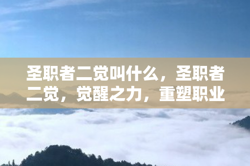 圣职者二觉叫什么，圣职者二觉，觉醒之力，重塑职业巅峰