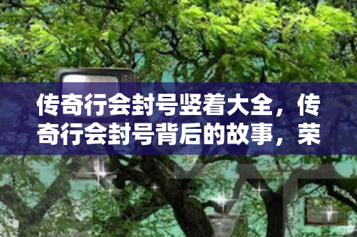传奇行会封号竖着大全，传奇行会封号背后的故事，荣耀与规则