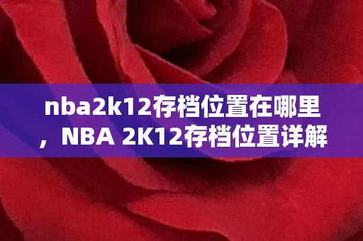 nba2k12存档位置在哪里，NBA 2K12存档位置详解