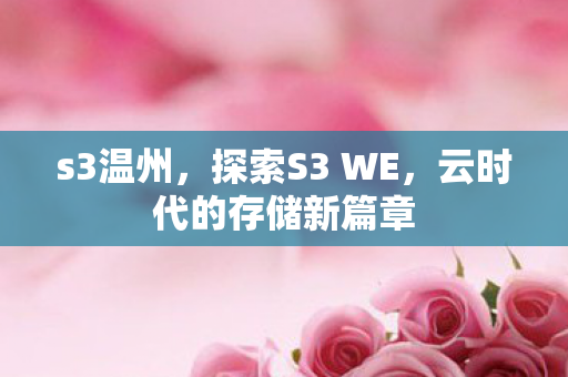 s3温州，探索S3 WE，云时代的存储新篇章